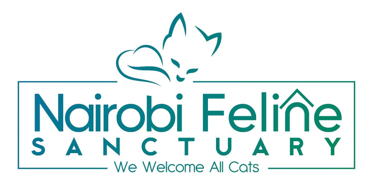 Nairobi Feline Sanctuary — We Welcome All Cats